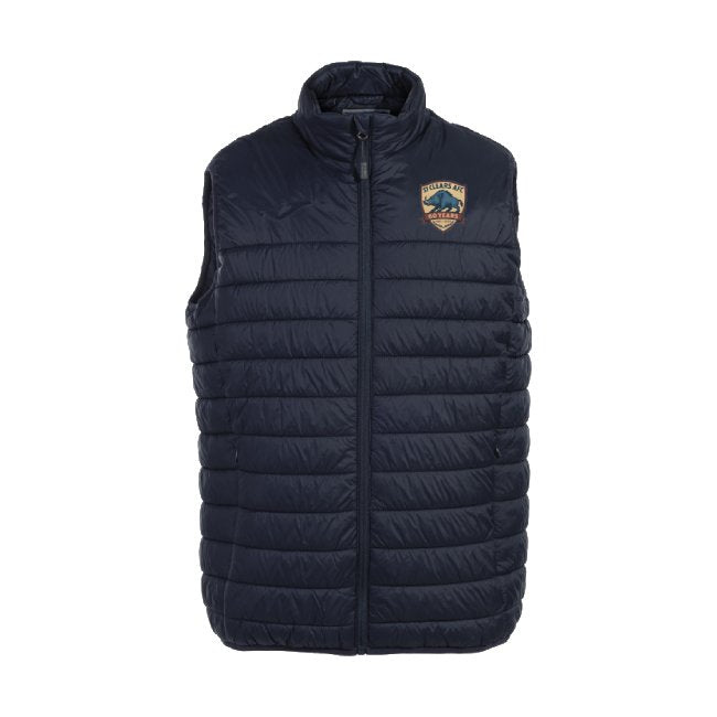 St Clears AFC - Joma Urban V Vest