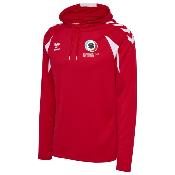 Foundation of Light Scholar - Hoody (optional)