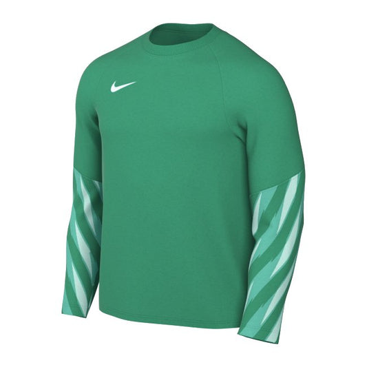 Nike Park V L/S GK Jersey